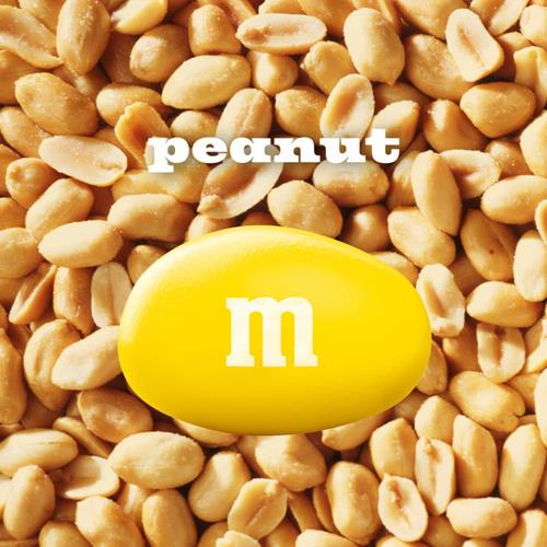 Media 3