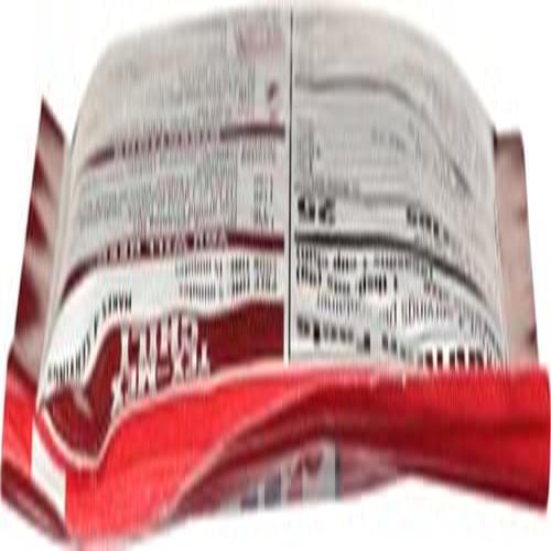 Media 4